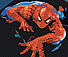 Homem Aranha ...